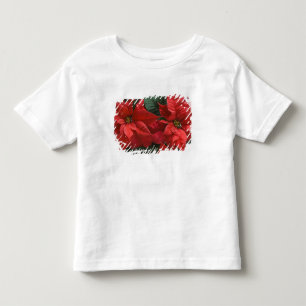 Camiseta De Bebé EE. UU., WA, Detalle de poinsettia roja (Euphorbia