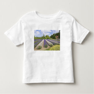 Camiseta De Bebé EE.UU., WA, Sequim, Granja de lavanda de niebla pú