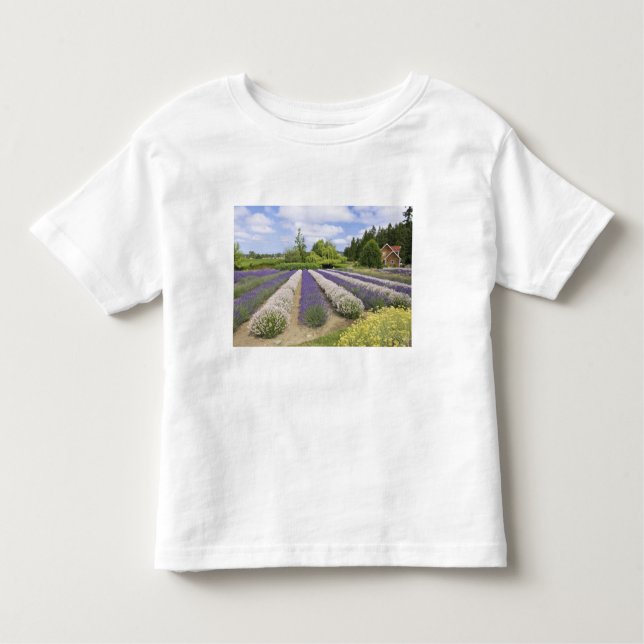 Camiseta De Bebé EE.UU., WA, Sequim, Granja de lavanda de niebla pú (Anverso)