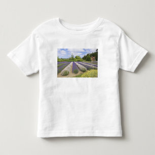 Camiseta De Bebé EE. UU., WA, Sequim, Purple Haze Lavender Farm