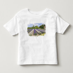 Camiseta De Bebé EE. UU., WA, Sequim, Purple Haze Lavender Farm