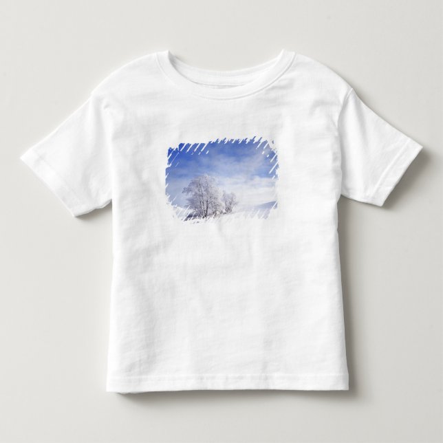 Camiseta De Bebé EE. UU., Washington, Área de Palouse, Negro Helado (Anverso)