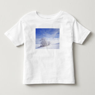 Camiseta De Bebé EE. UU., Washington, Área de Palouse, Negro Helado