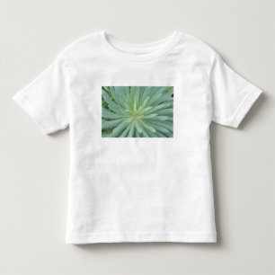 Camiseta De Bebé EE.UU., Washington, Bellevue, Botánica Bellevue 4