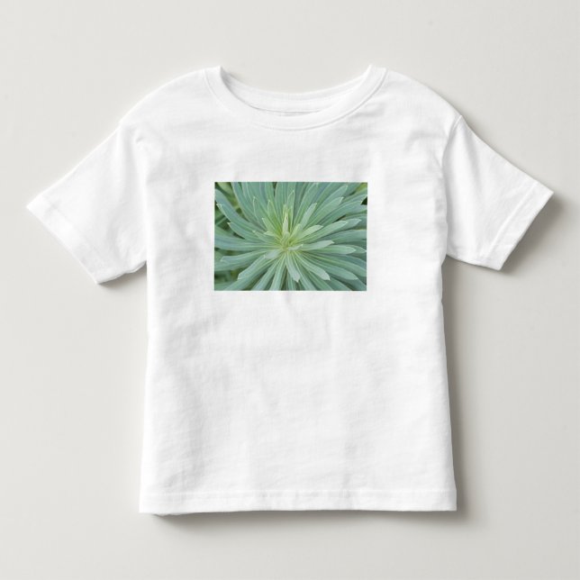 Camiseta De Bebé EE. UU., Washington, Bellevue, Jardín Botánico Bel (Anverso)