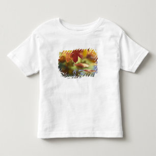 Camiseta De Bebé EE. UU., Washington, Bellingham, Primer plano de o