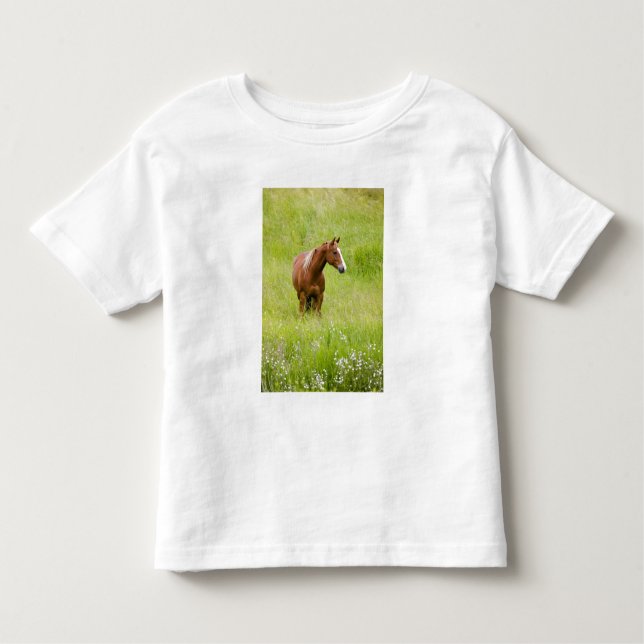 Camiseta De Bebé EE.UU., Washington, caballo en el campo de primave (Anverso)