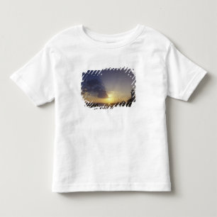 Camiseta De Bebé EE. UU., Washington, cerca de Port Townsend. Point