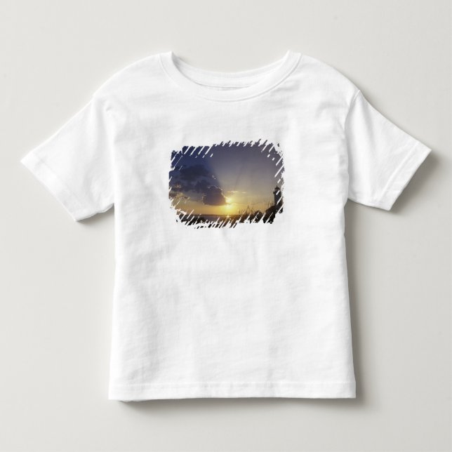 Camiseta De Bebé EE. UU., Washington, cerca de Port Townsend. Point (Anverso)
