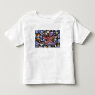 Camiseta De Bebé EE. UU., Washington, Hood Canal, Seabeck. Primer p
