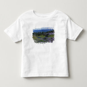 Camiseta De Bebé EE. UU., Washington Mt. Adams Wilderness, Praderas