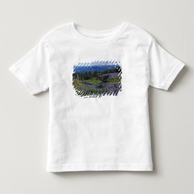 Camiseta De Bebé EE. UU., Washington Mt. Adams Wilderness, Praderas (Anverso)