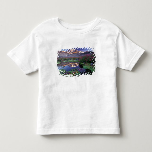 Camiseta De Bebé EE. UU., Washington, Mt. Rainier NP, amanecer, (Anverso)