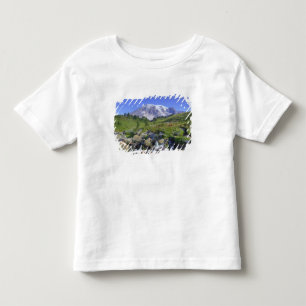 Camiseta De Bebé EE. UU., Washington, Mt. Rainier NP, Mt. Rainier y