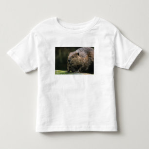 Camiseta De Bebé EE. UU., Washington, Northwest Trek. Castor