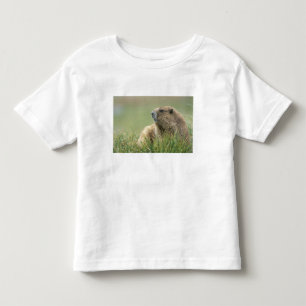 Camiseta De Bebé EE.UU., Washington, NP olímpico, marmota olímpica