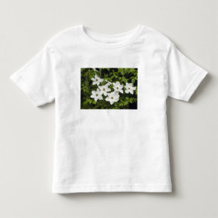 Camiseta De Bebé EE. UU., Washington, Pacific Dogwood, Cornus