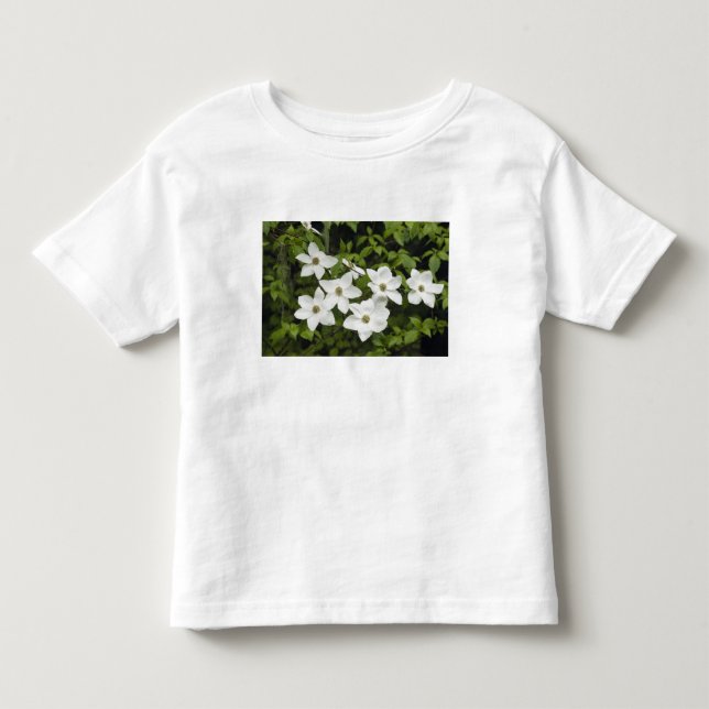 Camiseta De Bebé EE. UU., Washington, Pacific Dogwood, Cornus (Anverso)