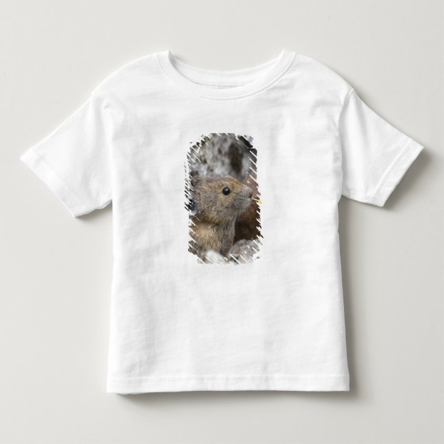 Camiseta De Bebé EE. UU., Washington, Parque Nacional North Cascade (Anverso)
