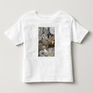Camiseta De Bebé EE. UU., Washington, Parque Nacional North Cascade