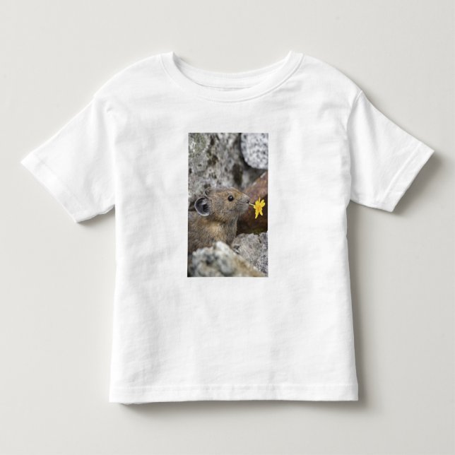 Camiseta De Bebé EE. UU., Washington, Parque Nacional North Cascade (Anverso)