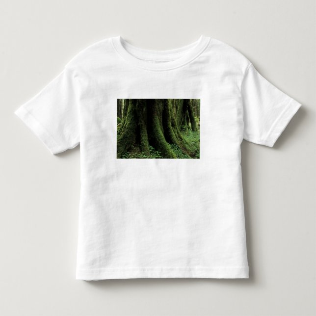 Camiseta De Bebé EE. UU., Washington, Parque Nacional Olímpico, 2 (Anverso)