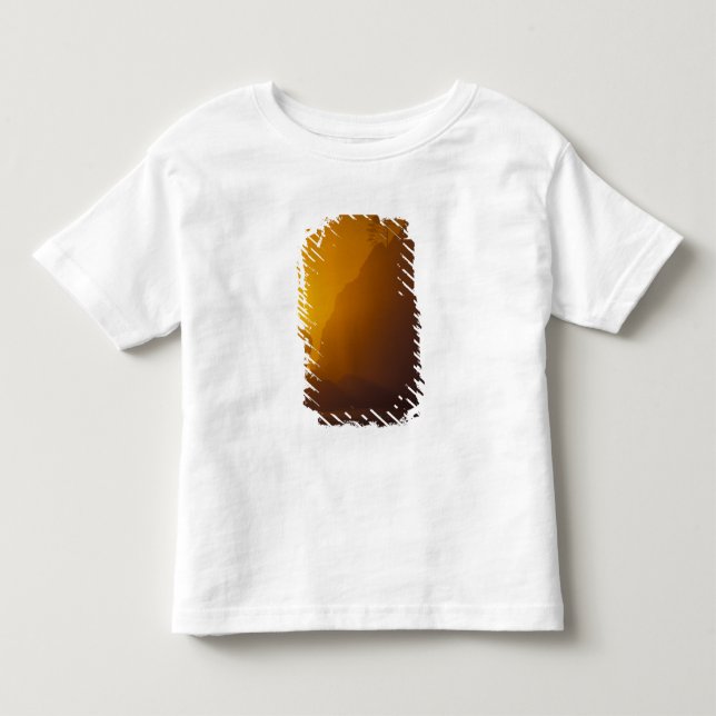 Camiseta De Bebé EE. UU., Washington, Parque Nacional Olímpico, Ata (Anverso)