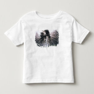 Camiseta De Bebé EE. UU., Washington, Parque Nacional Olímpico, Mañ