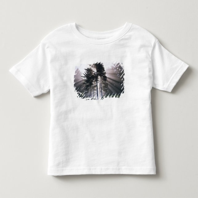 Camiseta De Bebé EE. UU., Washington, Parque Nacional Olímpico, Mañ (Anverso)