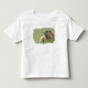 Camiseta De Bebé EE. UU., Washington, Parque Nacional Olímpico, Mar