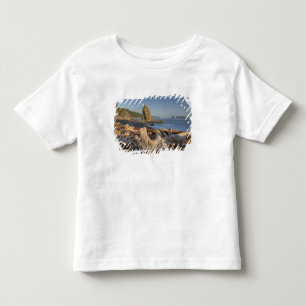 Camiseta De Bebé EE. UU., Washington, Parque Nacional Olímpico, Ria