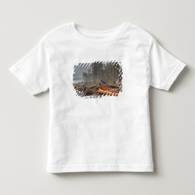 Camiseta De Bebé EE. UU., Washington, Parque Nacional Olímpico, Ria (Anverso)