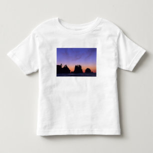 Camiseta De Bebé EE. UU., Washington, Parque Nacional Olímpico, Shi