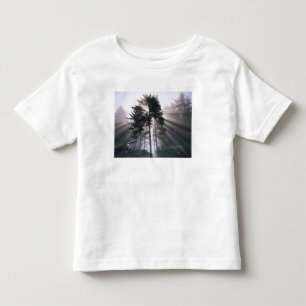 Camiseta De Bebé EE. UU., Washington, Parque Nacional Olympic, Maña