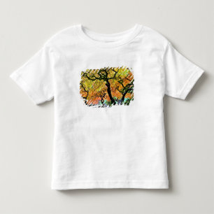 Camiseta De Bebé EE. UU., Washington, Seattle, Jardín Kubota.