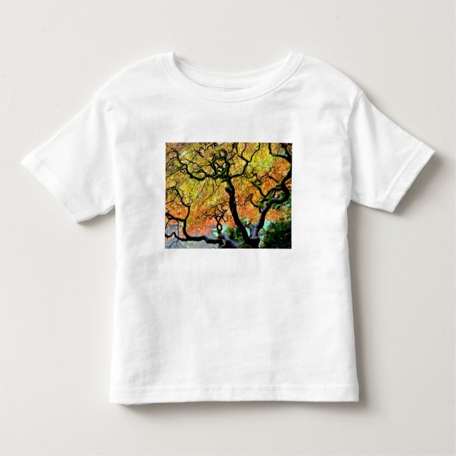 Camiseta De Bebé EE.UU., Washington, Seattle, Kubota Garden. (Anverso)
