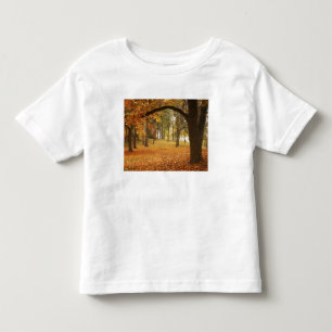 Camiseta De Bebé EE. UU., Washington, Spokane, Manito Park, Otoño 2