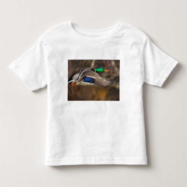 Camiseta De Bebé EE.UU., Washington State, Mallard, macho, vuelo. (Anverso)