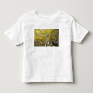 Camiseta De Bebé EE. UU., Washington, Stevens Pass Álamo temblón de
