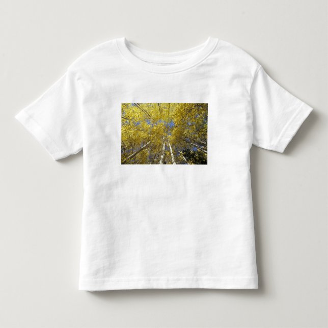 Camiseta De Bebé EE. UU., Washington, Stevens Pass Álamo temblón de (Anverso)