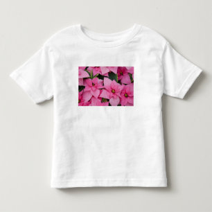 Camiseta De Bebé EE. UU., Washington, Woodinville, Molbak's Nursery
