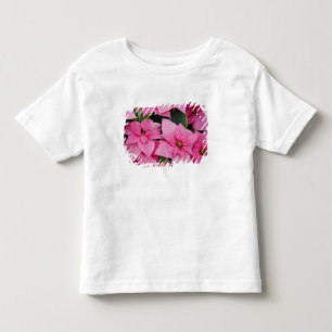 Camiseta De Bebé EE. UU., Washington, Woodinville, Vivero Molbak's,