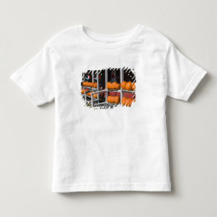 Camiseta De Bebé EE. UU., WISCONSIN, Washburn: Orilla del lago Supe