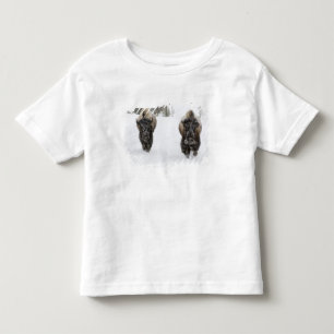 Camiseta De Bebé EE. UU., WY, Parque Nacional Yellowstone, Bisonte 