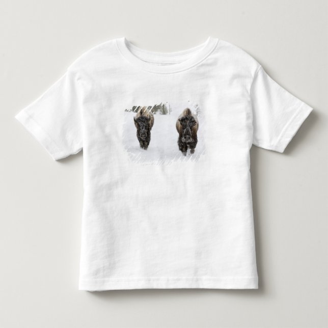 Camiseta De Bebé EE. UU., WY, Parque Nacional Yellowstone, Bisonte  (Anverso)