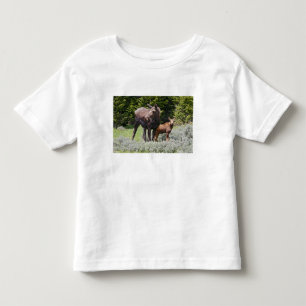 Camiseta De Bebé EE. UU., Wyoming, montañas Bighorn, alce Alces