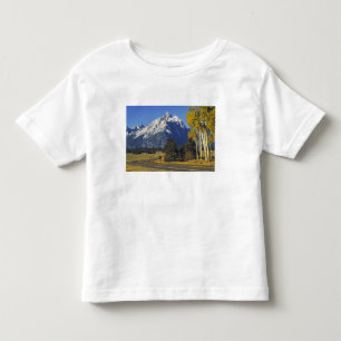 Camiseta De Bebé EE. UU., Wyoming, Parque Nacional Grand Teton. Car