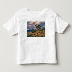 Camiseta De Bebé EE. UU., Wyoming, Parque Nacional Grand Teton. El