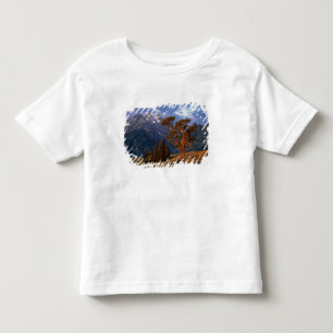 Camiseta De Bebé EE. UU., Wyoming, Parque Nacional Grand Teton. Un 