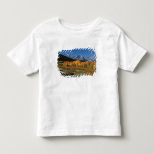 Camiseta De Bebé EE. UU., Wyoming, Parque Nacional Grand Tetons en